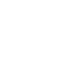 ce logo Desoto