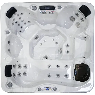 Avalon EC-849L hot tubs for sale in Desoto